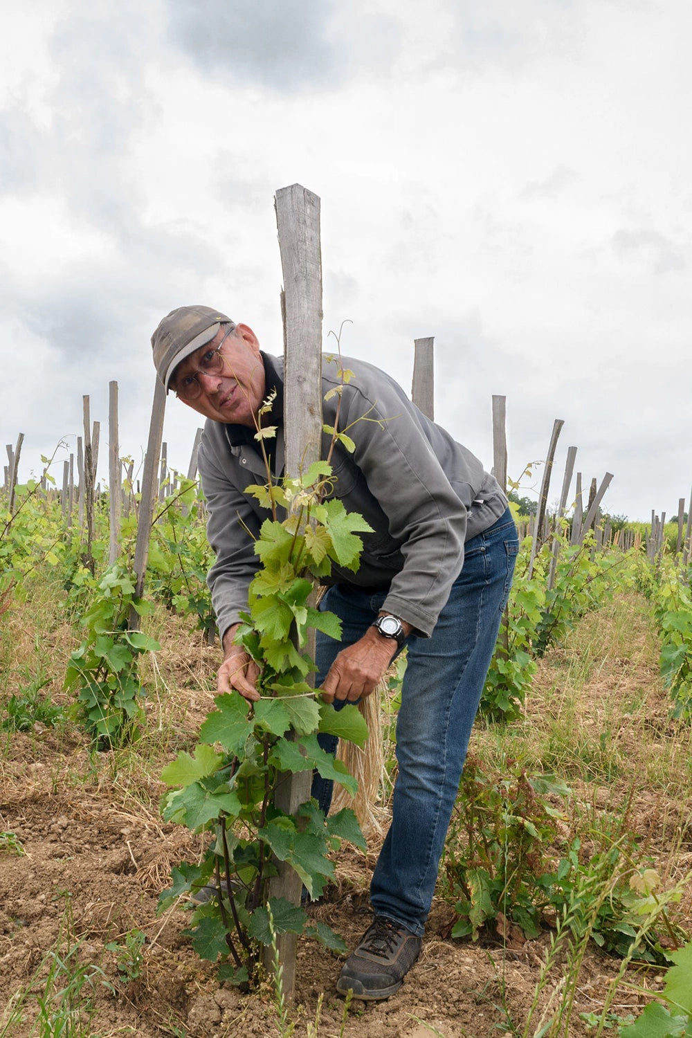 Domaine Les Grandes Vignes