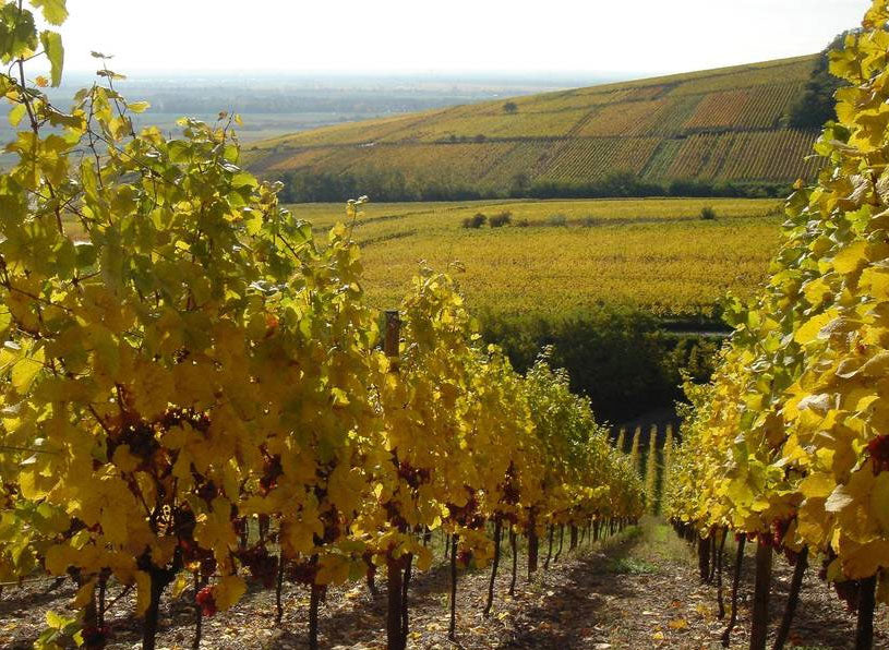 Domaine Mersiol