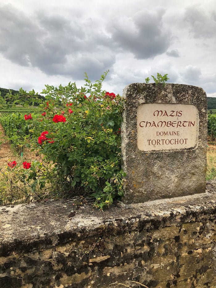 Domaine Tortochot