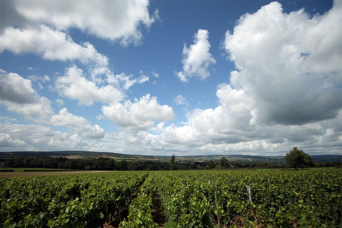 Domaine Xavier Durand