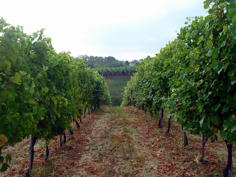 Emilia-Romagna 2