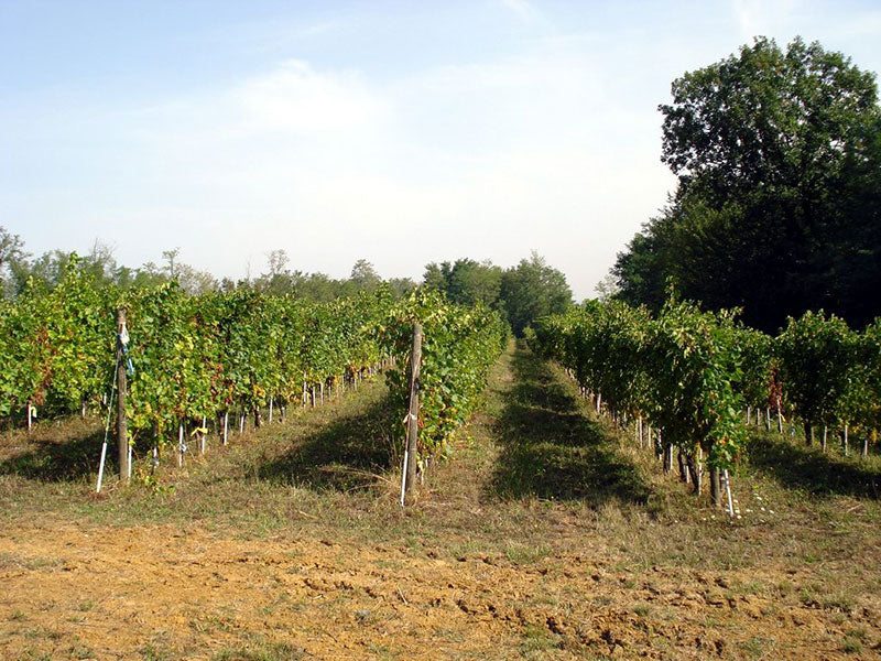 Emilia-Romagna 3