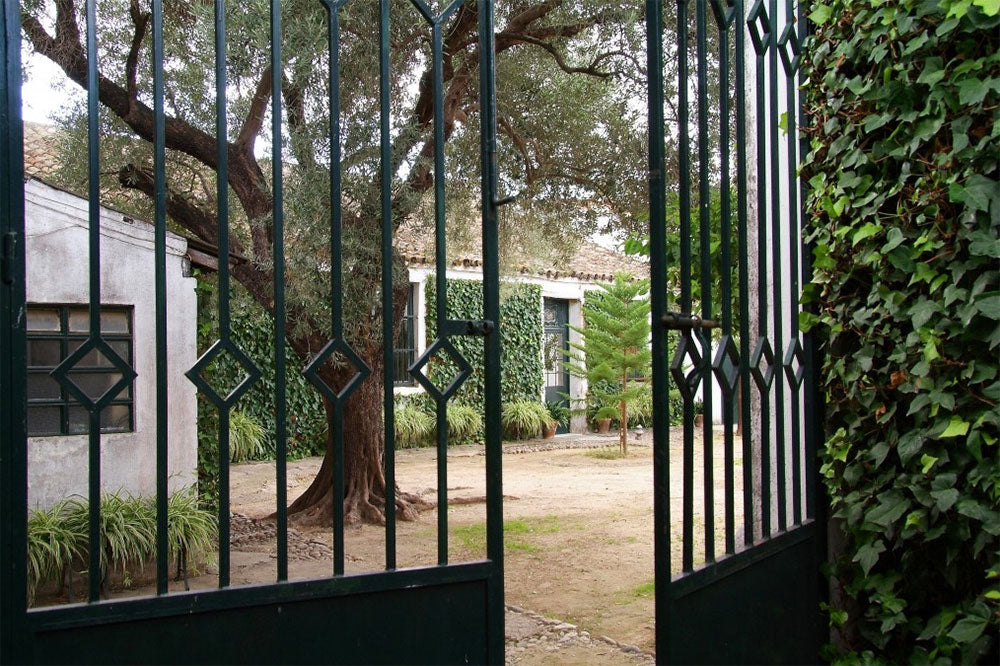 Emilio Hidalgo