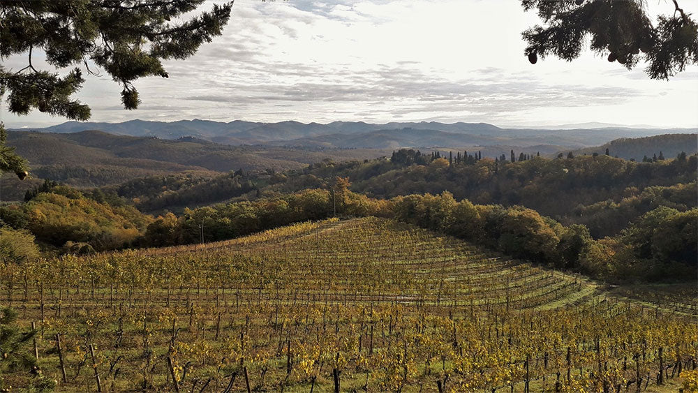Fattoria della Aiola