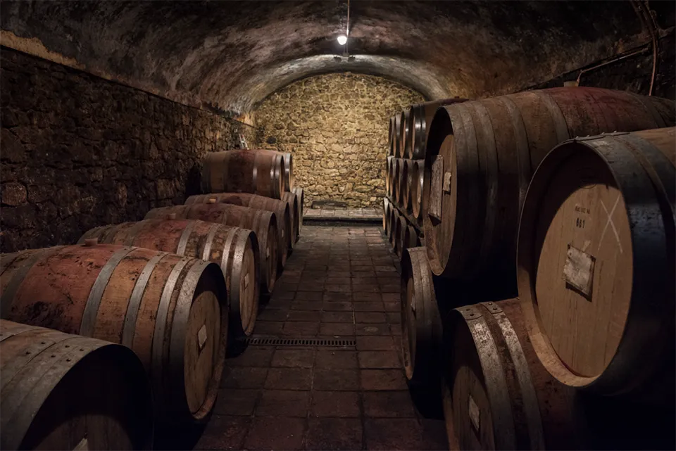 Fattoria San Giusto a Rentennano