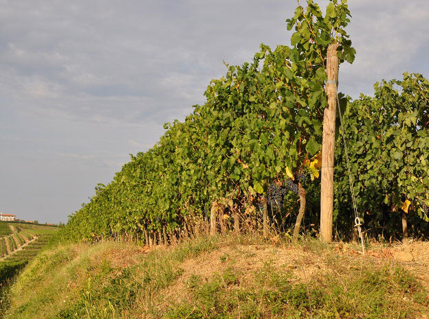 Friuli-Venezia Giulia 2