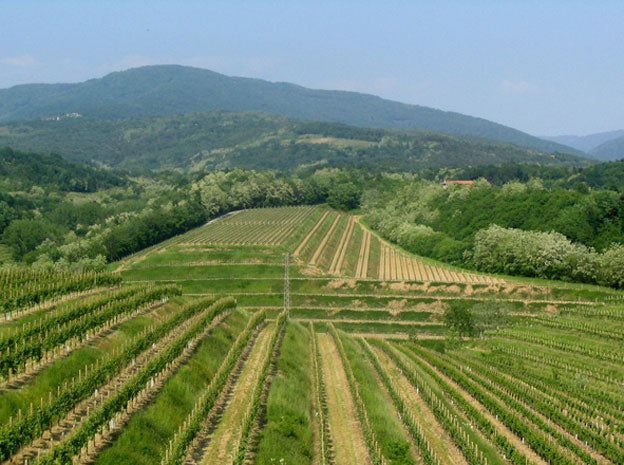 Friuli-Venezia Giulia 3