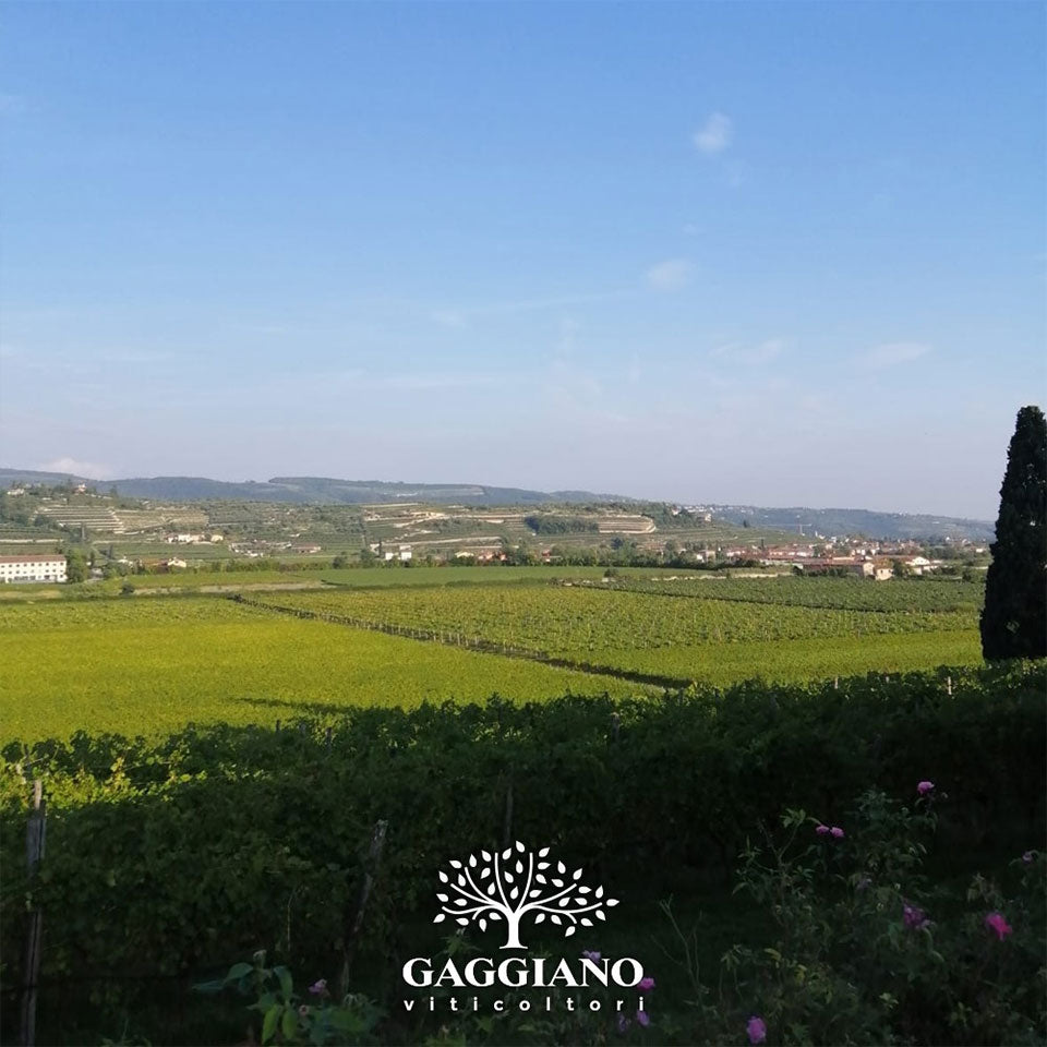 Gaggiano