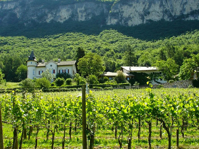 Weingut Gottardi