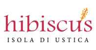 Hibiscus logo