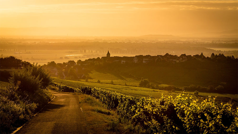 Hugel & Fils