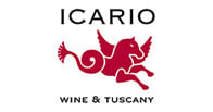 Icario logo