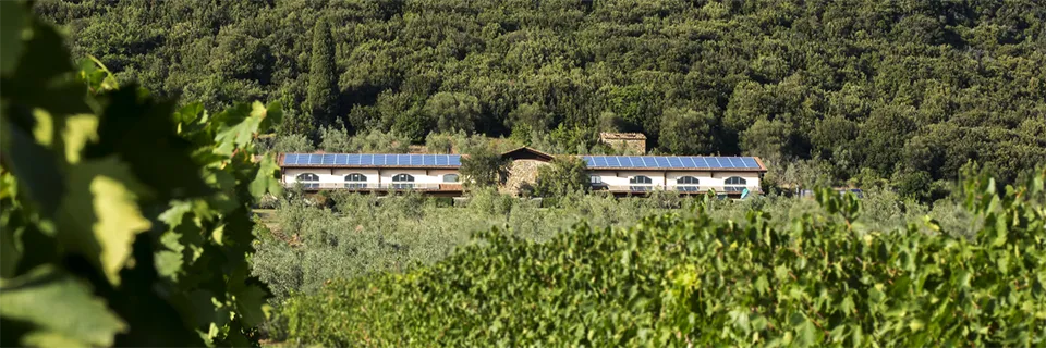Il Poggione