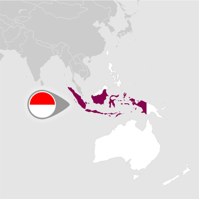 Production area: Indonesia 