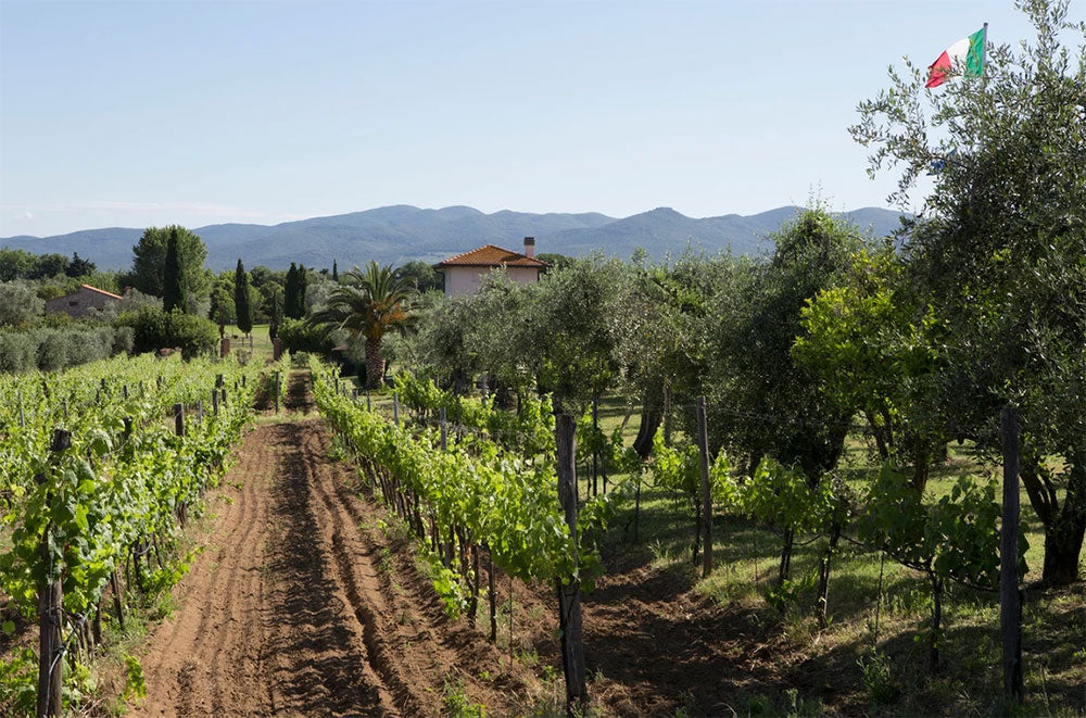 La Cipriana