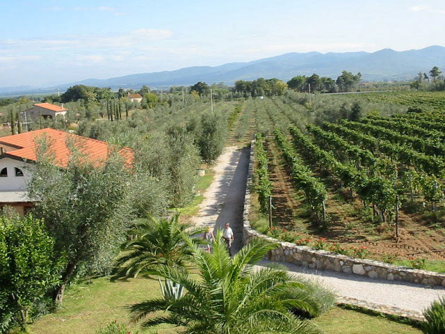 La Cipriana