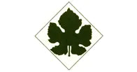 Maccario Dringenberg