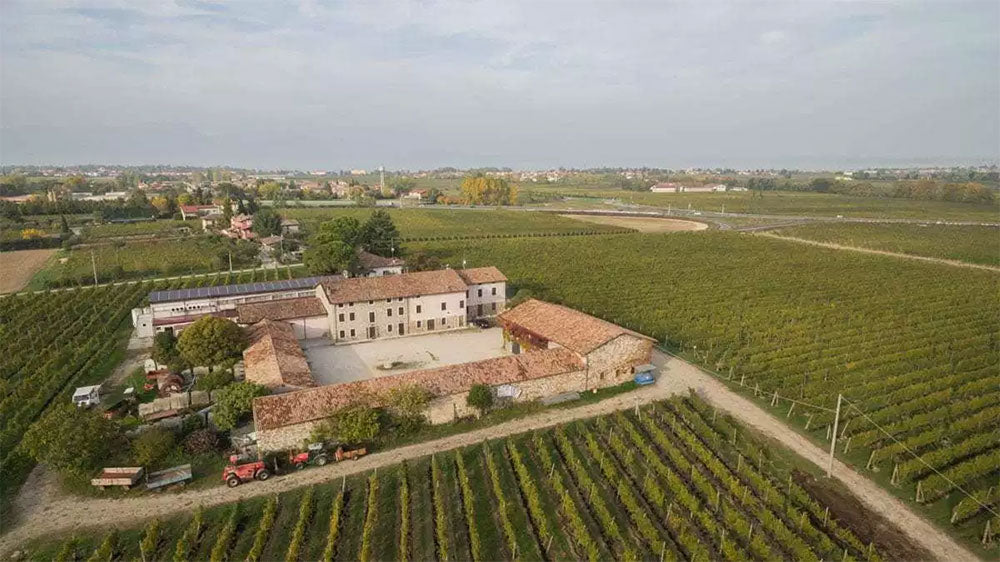 Marangona