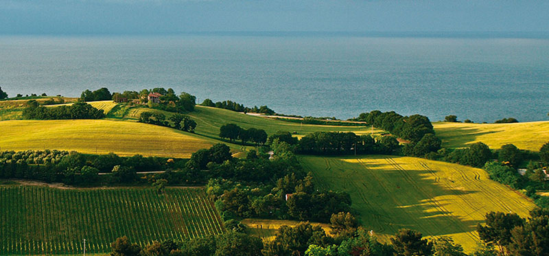 Marken 2