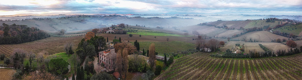 Marotti Campi
