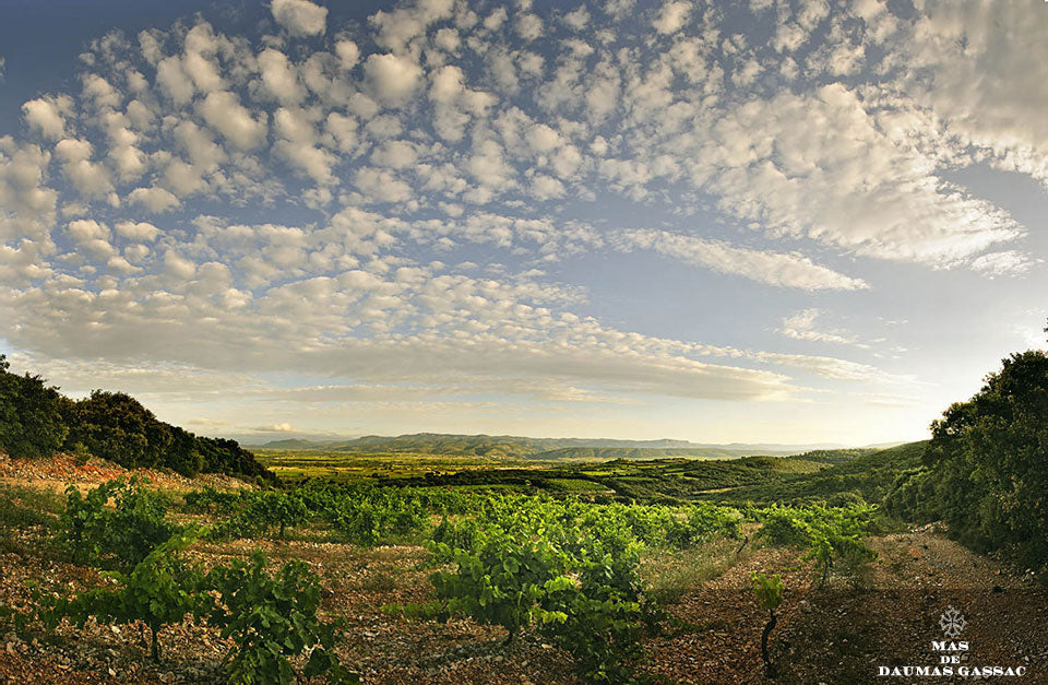 Mas de Daumas Gassac