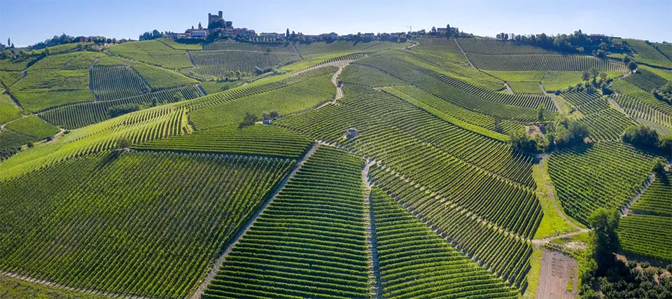 Massolino - Vigna Rionda
