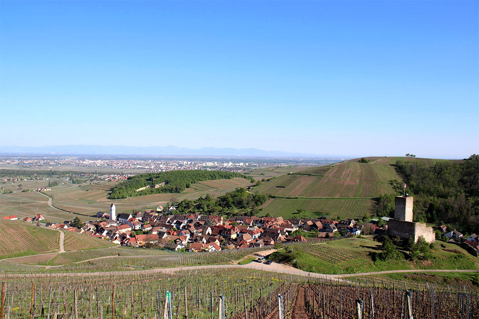 Meyer Fonne