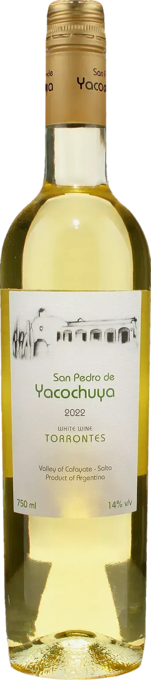 Michel Rolland Collection San Pedro de Yacochuya Torrontes 2022