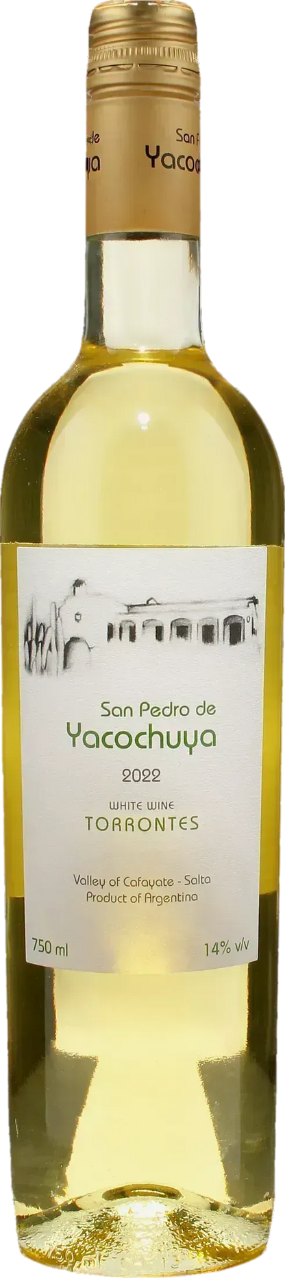 Michel Rolland Collection San Pedro de Yacochuya Torrontes 2022