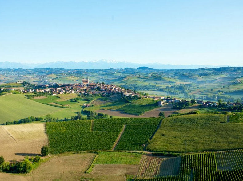 Montalbera