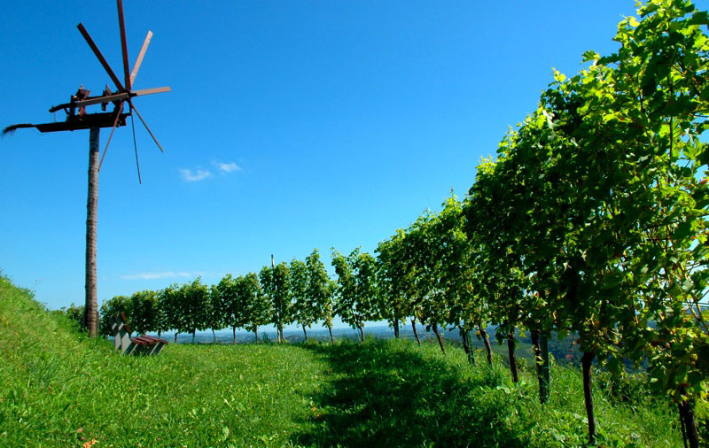 Mosel-Saar-Ruwer 2