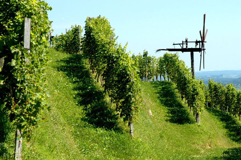Mosel-Saar-Ruwer 3