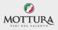 Mottura logo