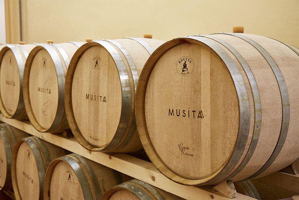 Musita