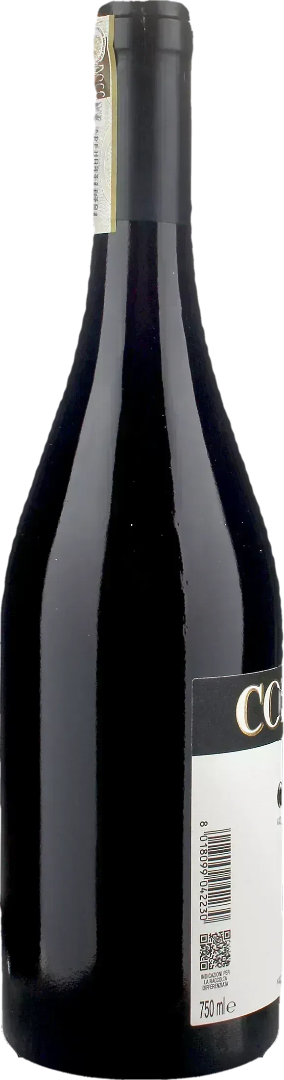 Nervi Conterno Gattinara 2023