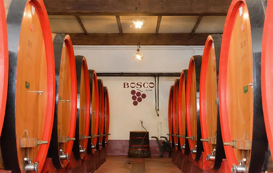Nestore Bosco