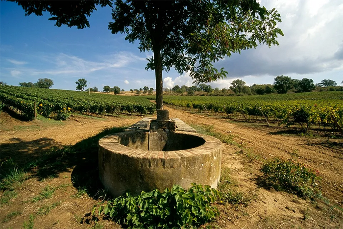 Nittardi