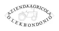 Olek Bondonio logo