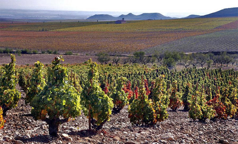 Bodegas Palacios Remondo