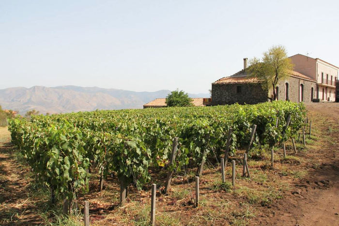 Passopisciaro (Vini Franchetti)