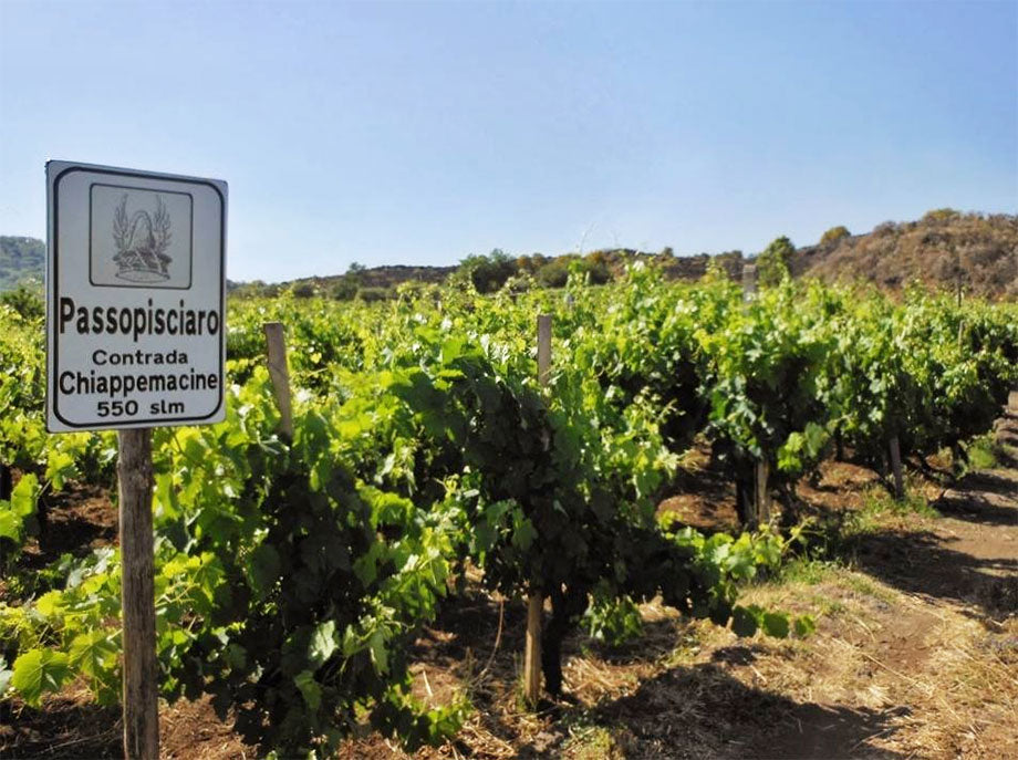Passopisciaro (Vini Franchetti)