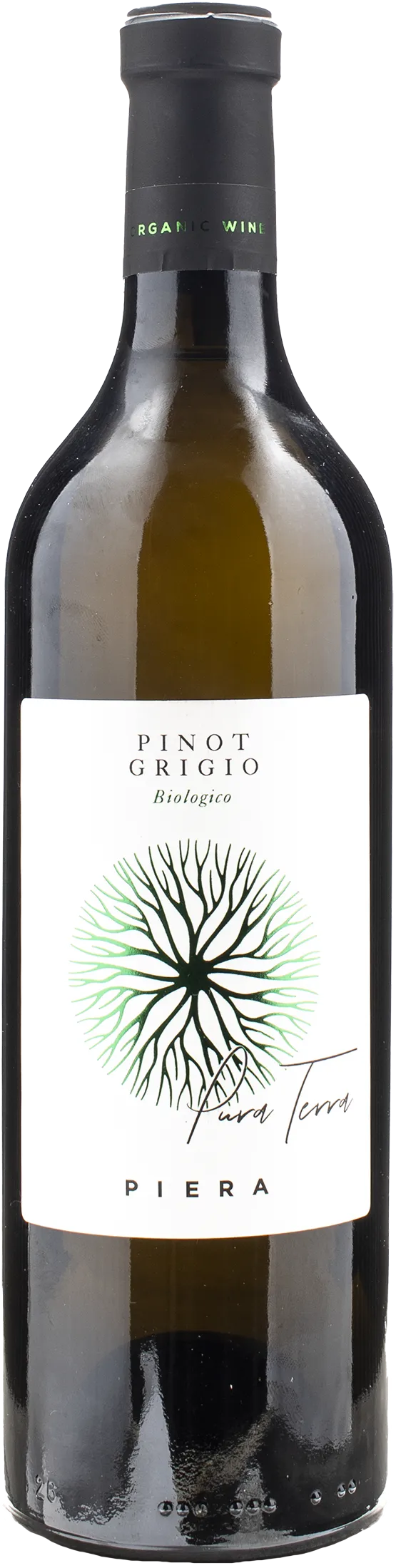 Piera 1899 Pinot Grigio delle Venezie Pura Terra 2022