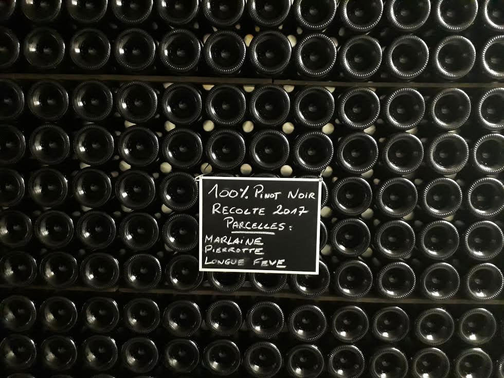 Pinot-Chevauchet