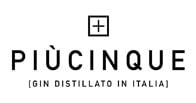 Piucinque logo