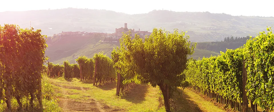 Poderi Gianni Gagliardo