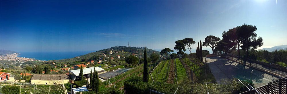 Poggio dei Gorleri