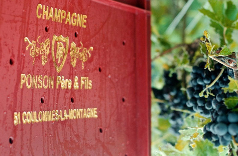 Ponson Pascal