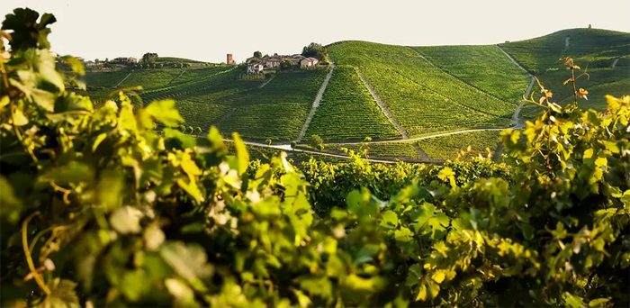 Produttori del Barbaresco