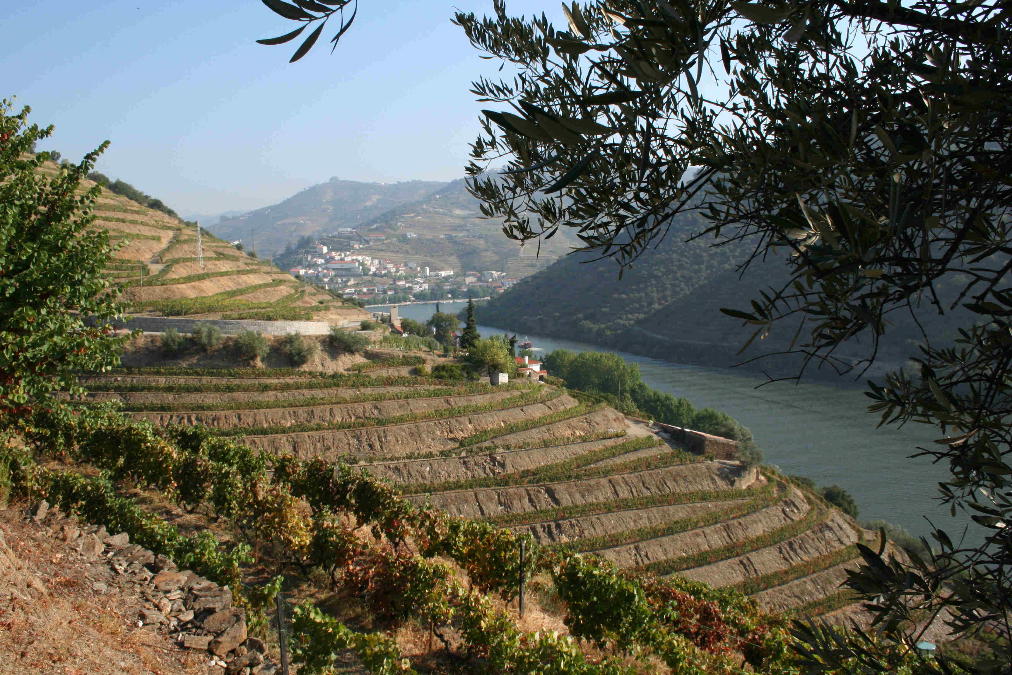 Quinta De La Rosa