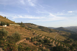 Quinta Do Noval